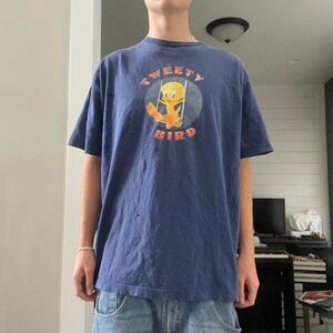 Looney-tunes Men's Navy and Blue T-shirt